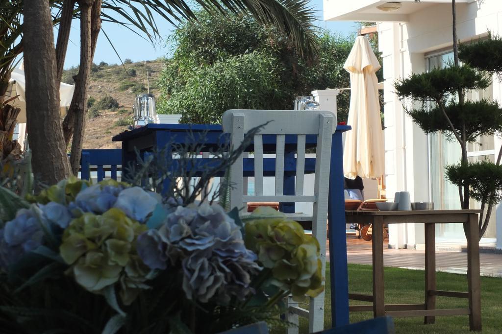 Lapis Port Surf Hotel Αλακάτι Εξωτερικό φωτογραφία